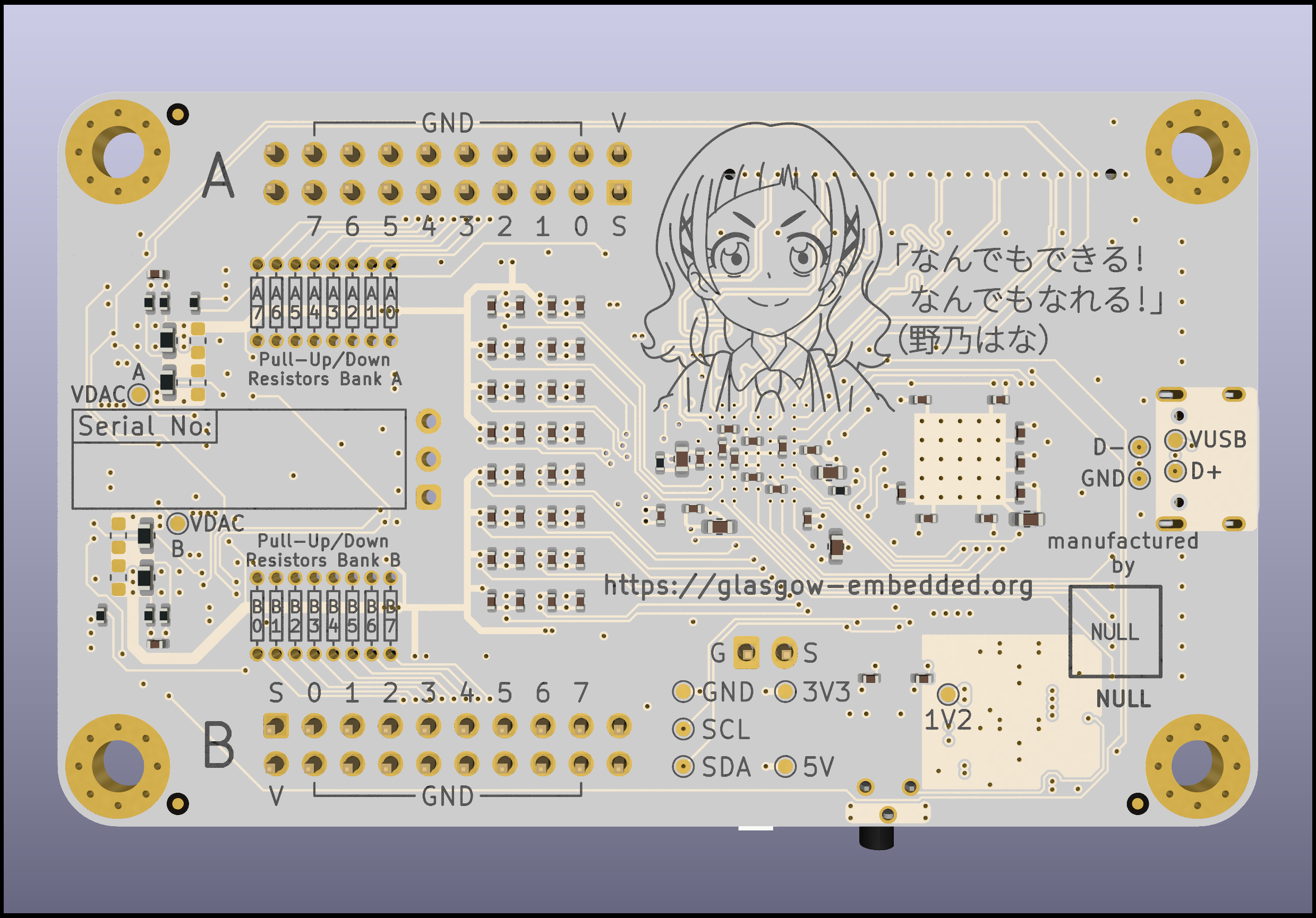 Overview of the Glasgow PCB (back)